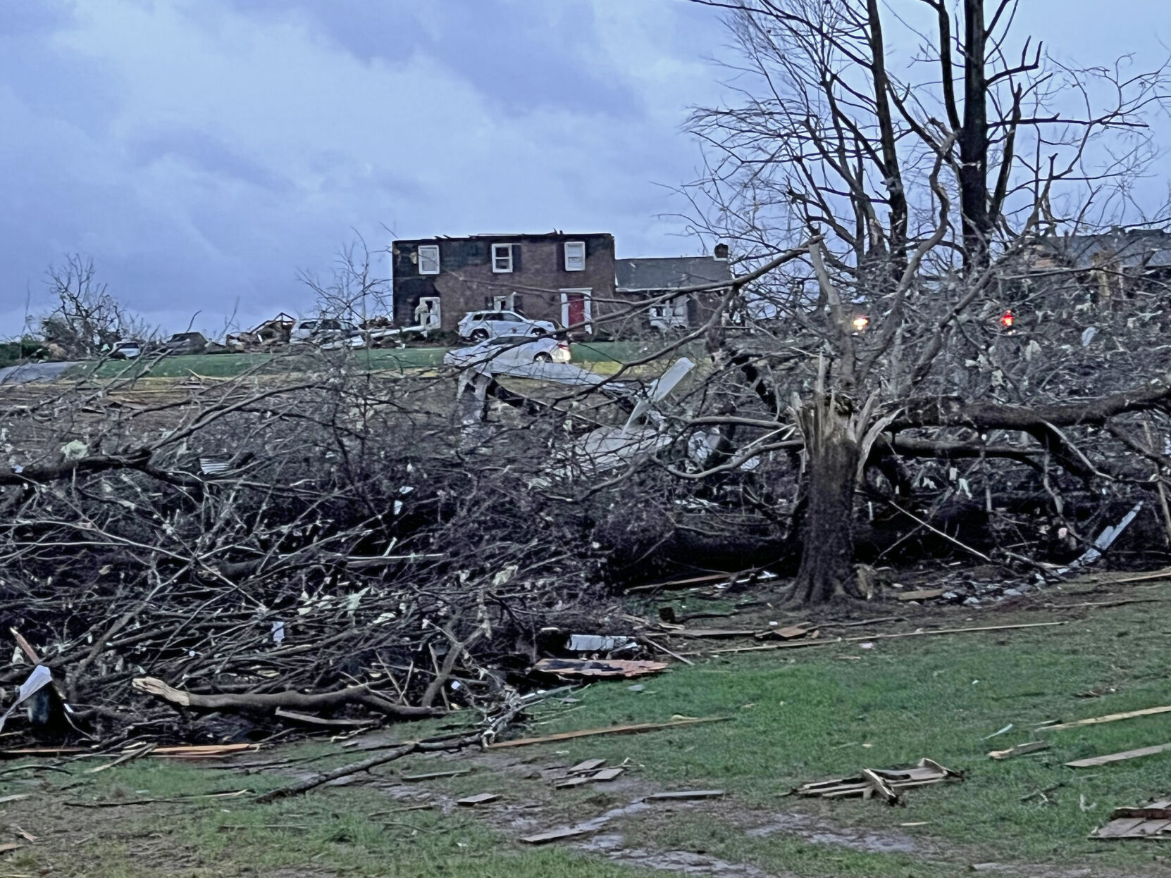 Trees, debris, and mangled houses remain